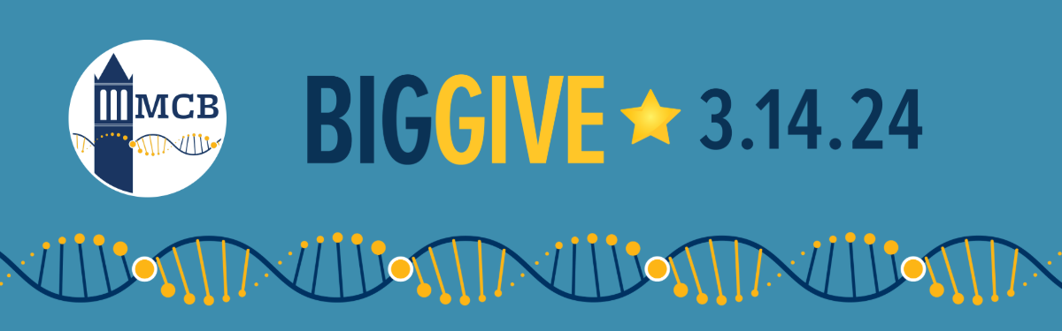 Big Give 3.14.24