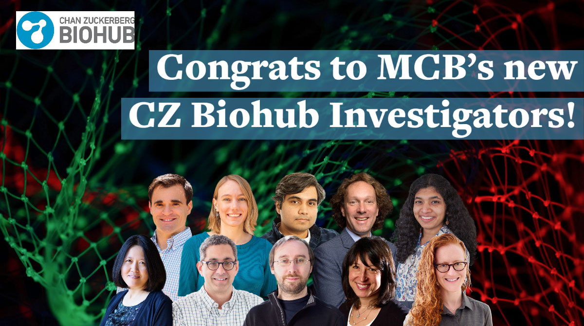 CZ Biohub investigators