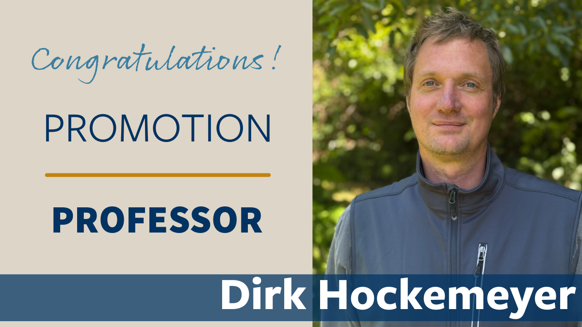 Dirk Hockemeyer