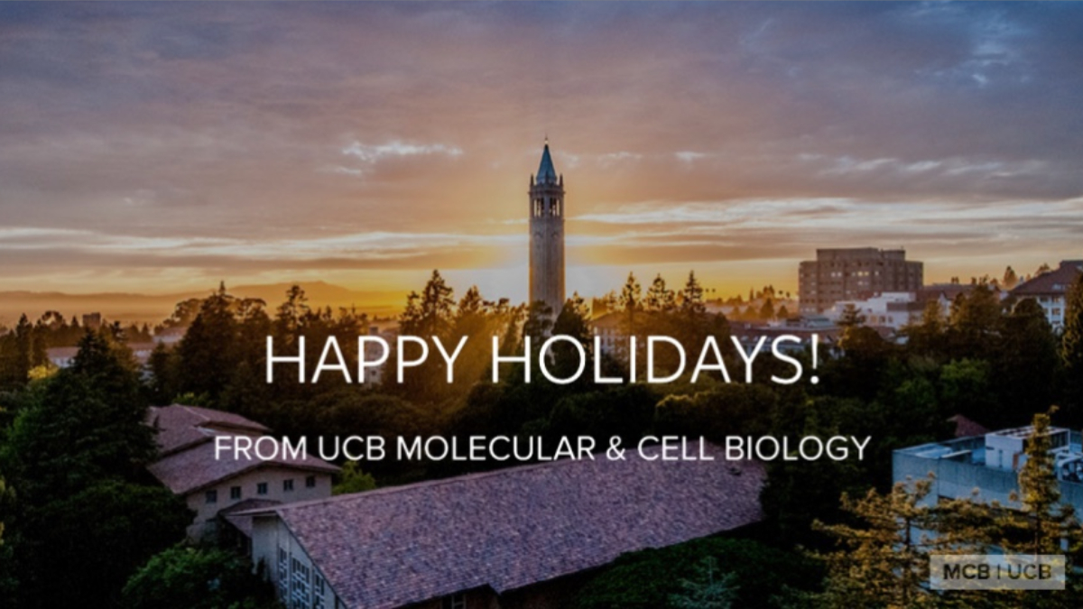 Happy Holidays from MCB!