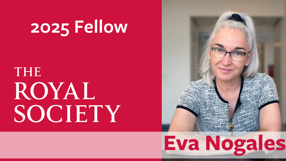 Eva Nogales named 2025 Royal Society Fellow. Photo credit: Christopher Michel