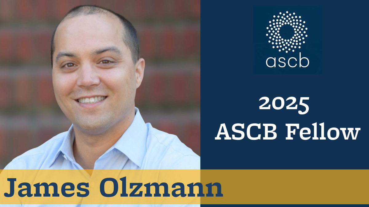 James Olzmann named 2025 ASCB Fellow