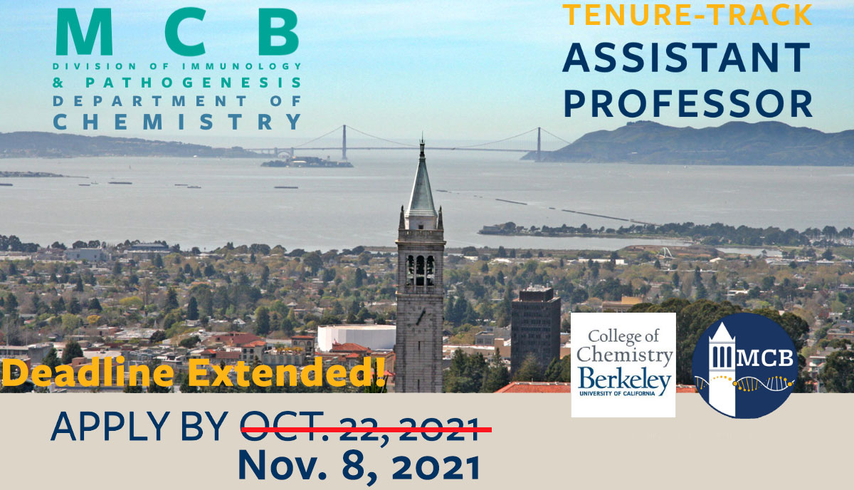 IMP and Chem tenure track position